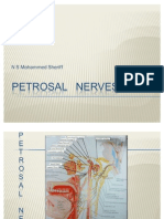 Petrosal Nerves