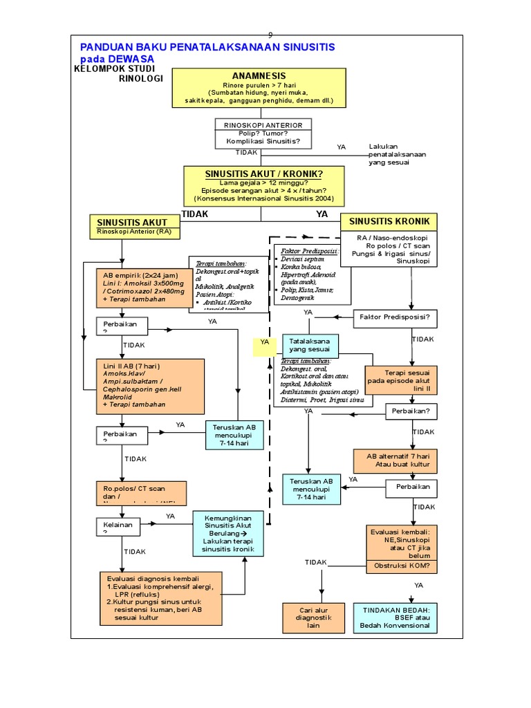 Panduan Penatalaksanaan Sinusitis Dewasa | PDF