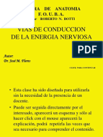 Vias de Conduccion