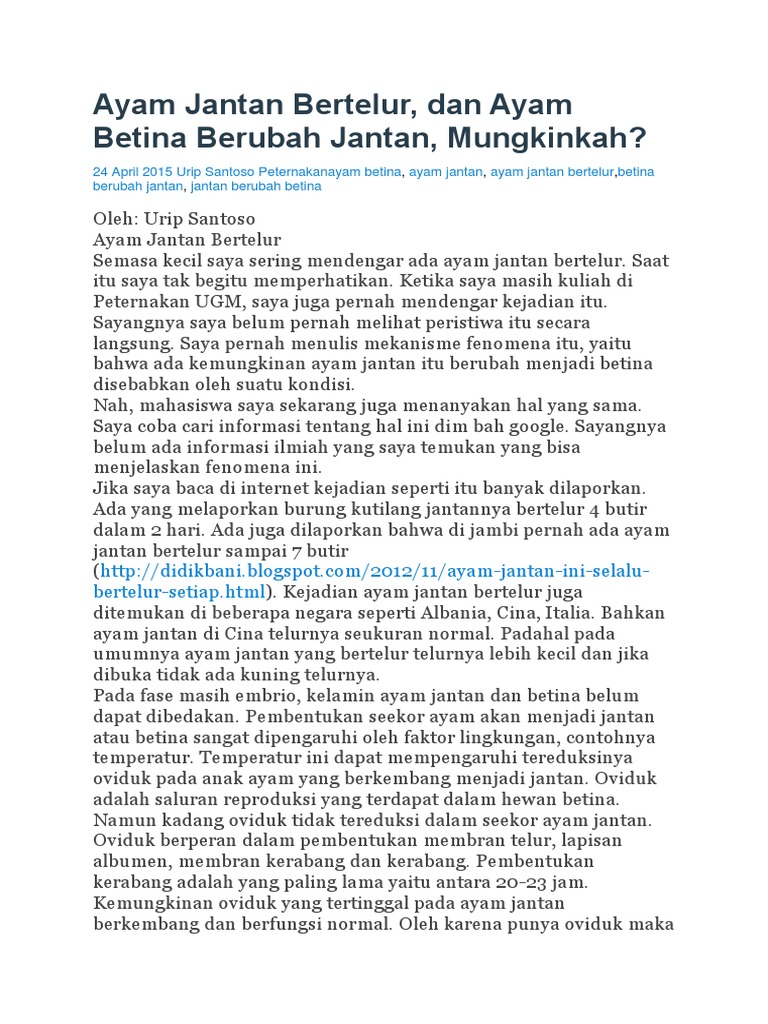 Mewarnai Gambar  Ayam  Jantan Dan Betina Gambar  Mewarnai 
