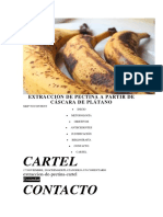 Extracción de Pectina a Partir de Cáscara de Plátano Proyecto