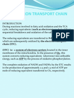 Electron Transport Chain: Chain (ETC) - (ETC) Is: A System of Electron Carriers Located in The Inner