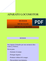 Aparato Locomotor