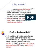 Fosforilai-Oksidatif