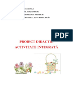 0_proiect_inspectie_finala_gradul_i.docx