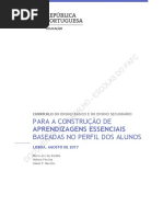 Ae Documento Enquadrador