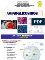 5ta Clase - Parte 1 Aminoglicosidos