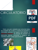 PPT SISTEMA CIRCULATORIO