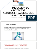 Formulacion de Proyectos 