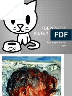 Polycystic Kidney Disease