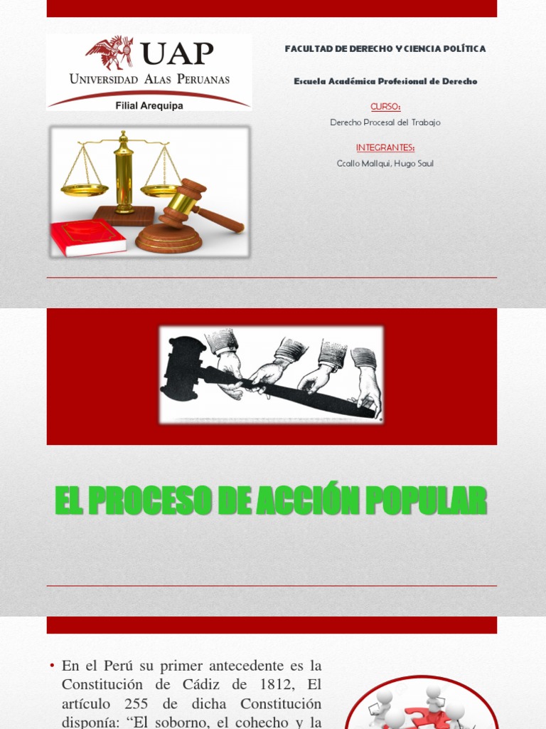 Proceso de Accion Popular PDF Regulación Ley procesal