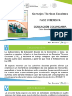 Cte Fase Intensiva Secundaria