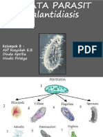 Balantidiasis Kelompok 8