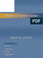 Anatomy of The Skeletal System