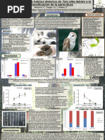 Cambios en los hábitos dietarios de Tyto alba debido a la intensificación de la agricultura. Poster presentado en RAE2012 2012