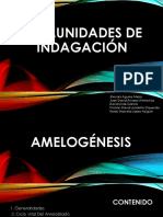 Amelogenesis