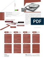 Ingeniería en Computación e Informática