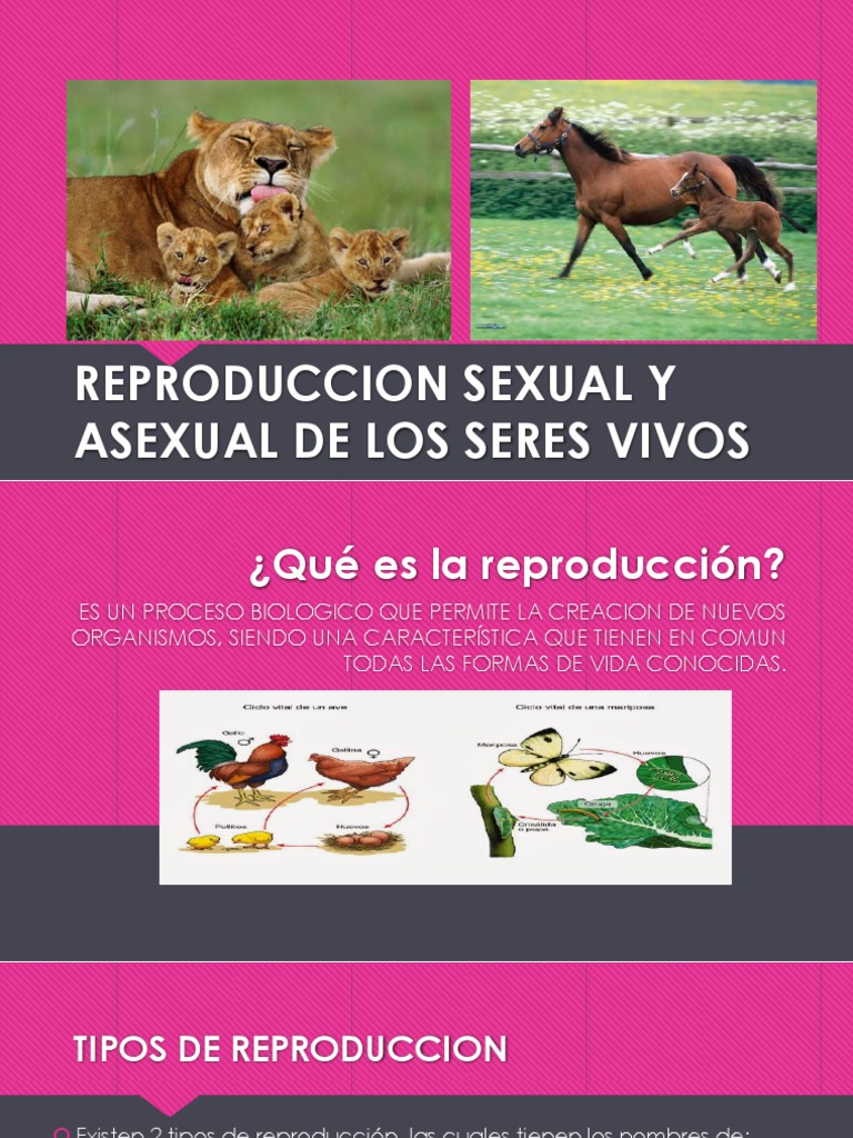 Reproducción Sexual y Asexual en Seres Vivos | PDF | Reproducción ...