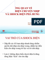 Le Vo Kien-Tong Quan Shock Dien Chuyen Nhip PDF