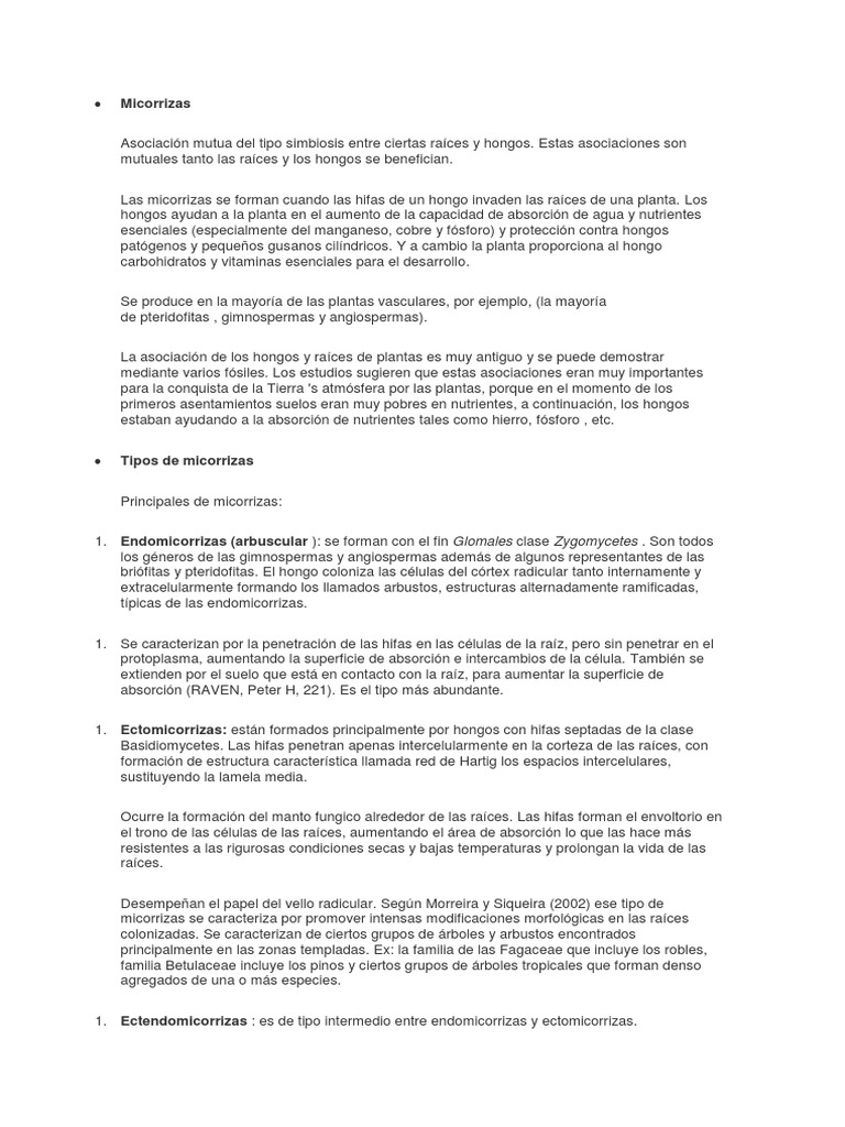 Micorrizas (Relación Mutua Entre Plantas y Hongos)