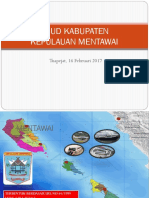 Profil Rumah Sakit Mentawai 2017