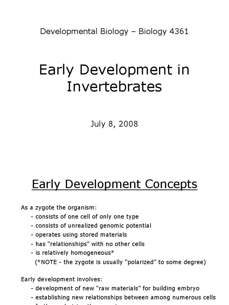 Early Invertebrate Development Insights | PDF | Developmental Biology ...