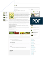 Licopodio - (Lycopodium Clavatum) - WWW - Plantasyjardines.es PDF