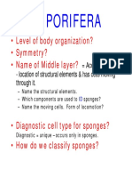 02 09 Sum MT Porifera