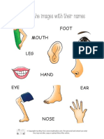 Printable Pack - Human Body Parts Worksheet - 5 Pages - Compressed-Ilovepdf-Compressed