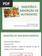 4-rochang_digestaoabsorcao