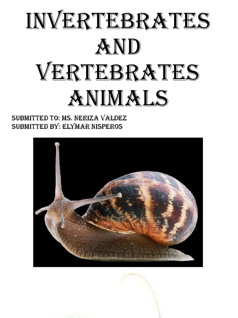 Invertebrates and Vertebrates Animals | PDF