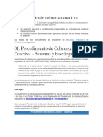 Procedimiento de Cobranza Coactiva