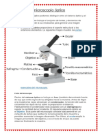 Partes Del Microscopio Óptico