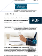 Informe Pericial Informatico