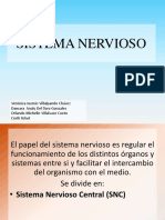 sistemanerviosocentral-131111233309-phpapp01.pdf