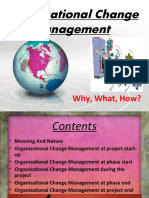 Organisational Change Management: Why, What, How?