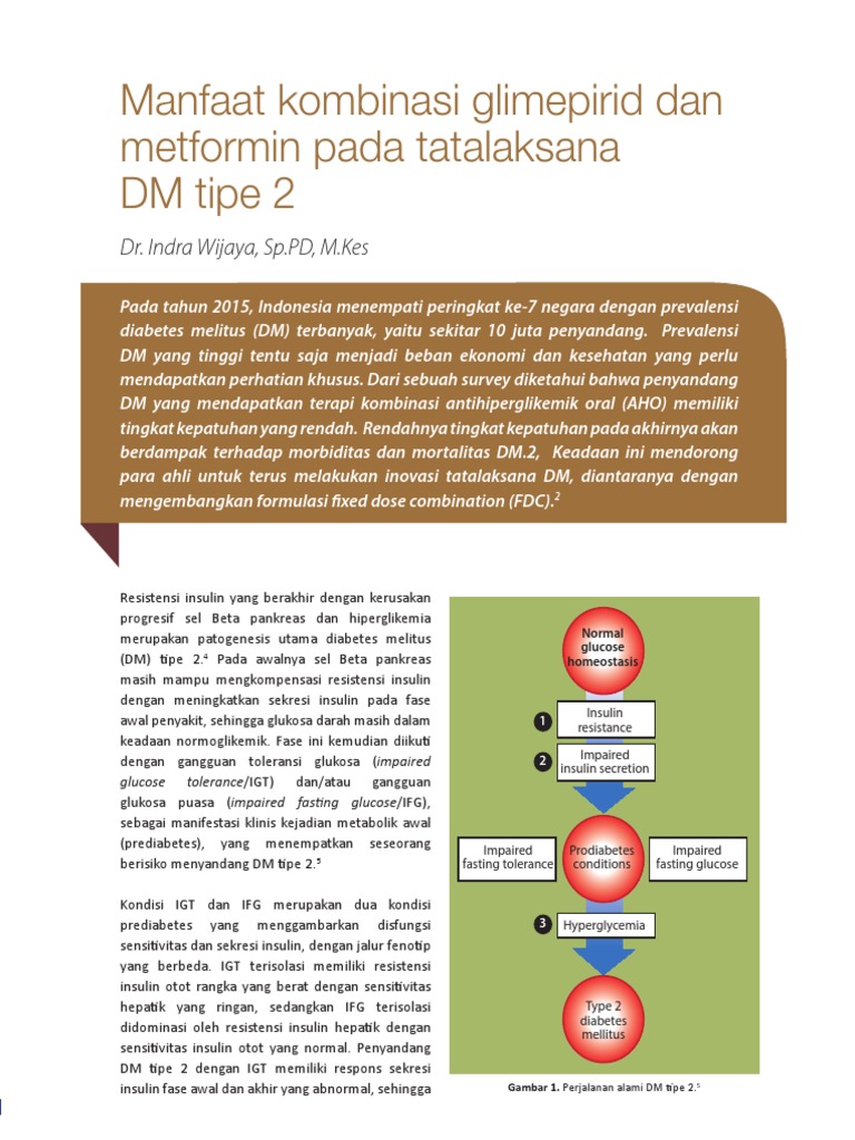 Kombinasi Glibenclamid Dan Metformin Pada DM 2 | PDF