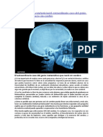 hombre sin cerebro.docx