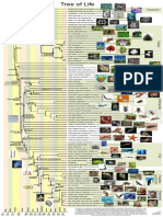 Life of Tree PDF