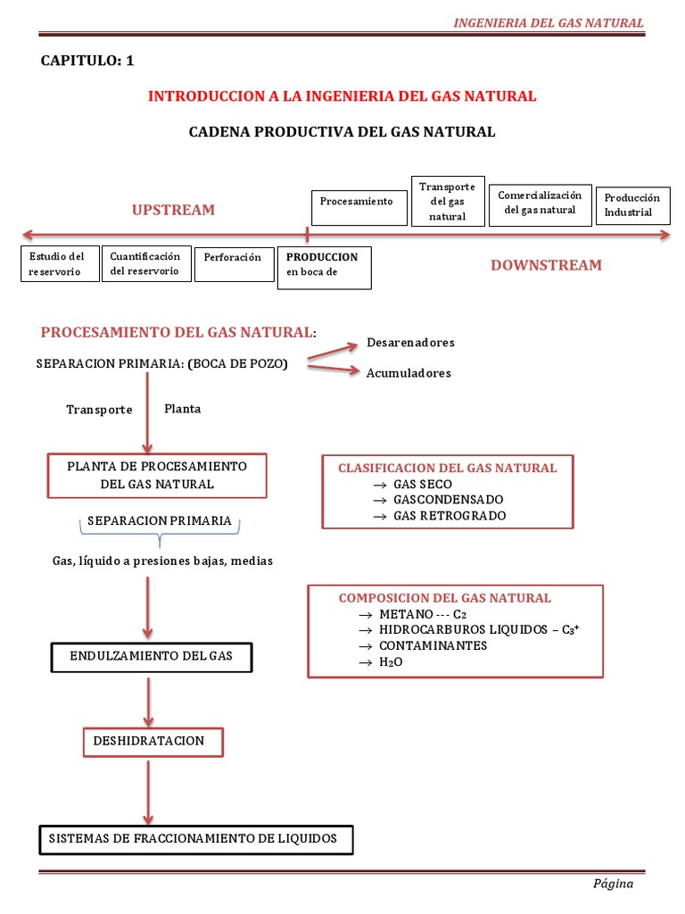 Composición y Procesamiento del Gas Natural | PDF | Gases | Petróleo