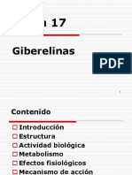 Giberelinas