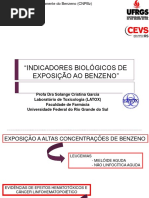 apresentacao_Benzeno_Fundacentro.pdf