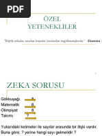 Zenginlestirilmis Etkinlik Ornekleri Pdf