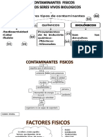 Contaminantes Fisicos