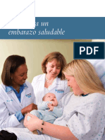 Guia Para Un Embarazo Saludable Espanol April2014