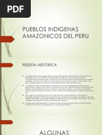Pueblos Indigenas Amazonicos Del Peru