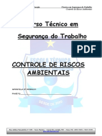 Controle de Riscos Ambientais - 2009 PDF