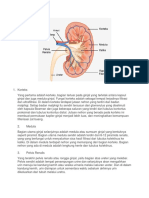 Bahan Ipa Latihan Un