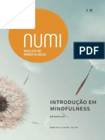 Introdução à Mindfulness