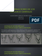 Malformaciones de Los Órganos Genitales